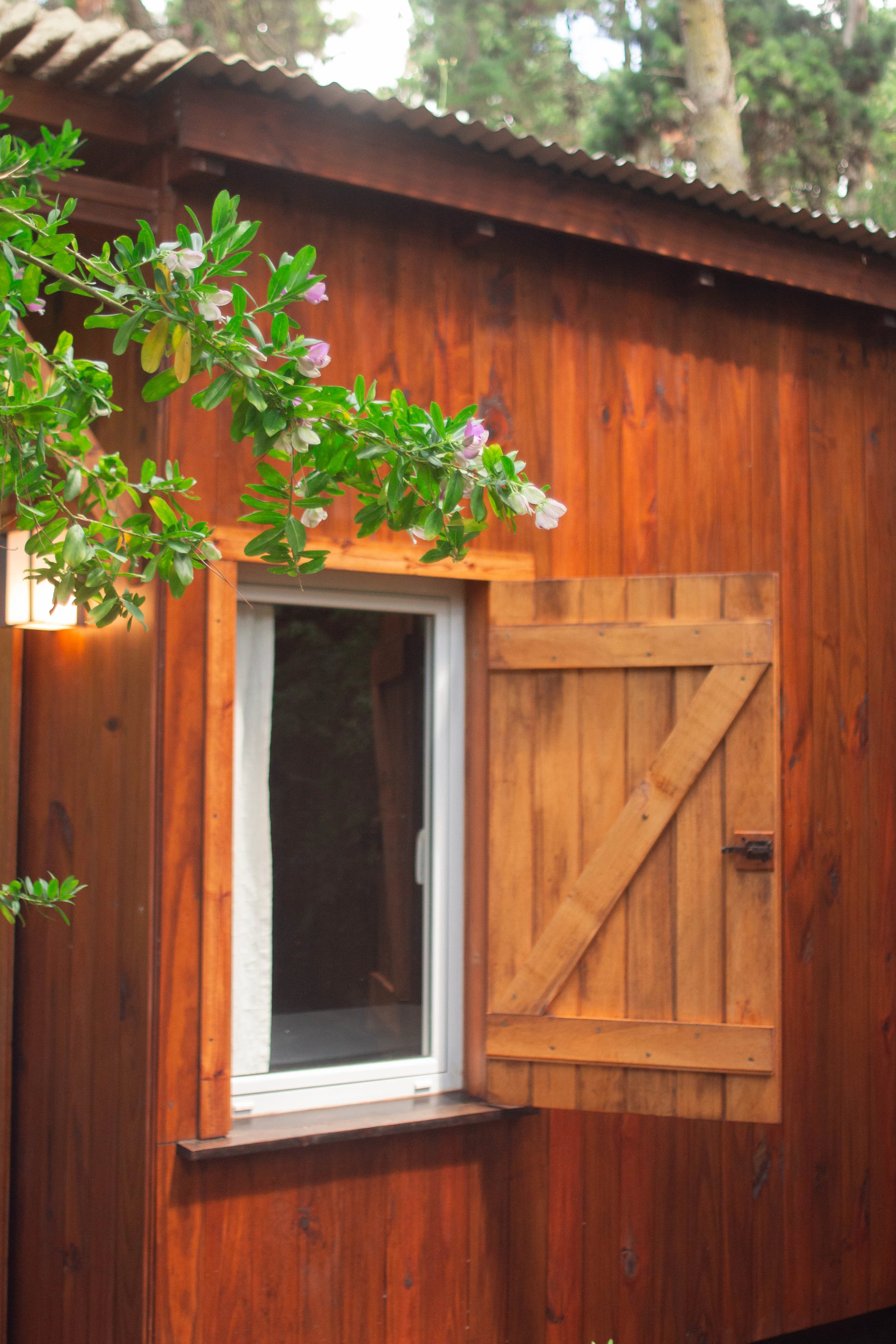 Detalle de ventana y postigón de madera con flores