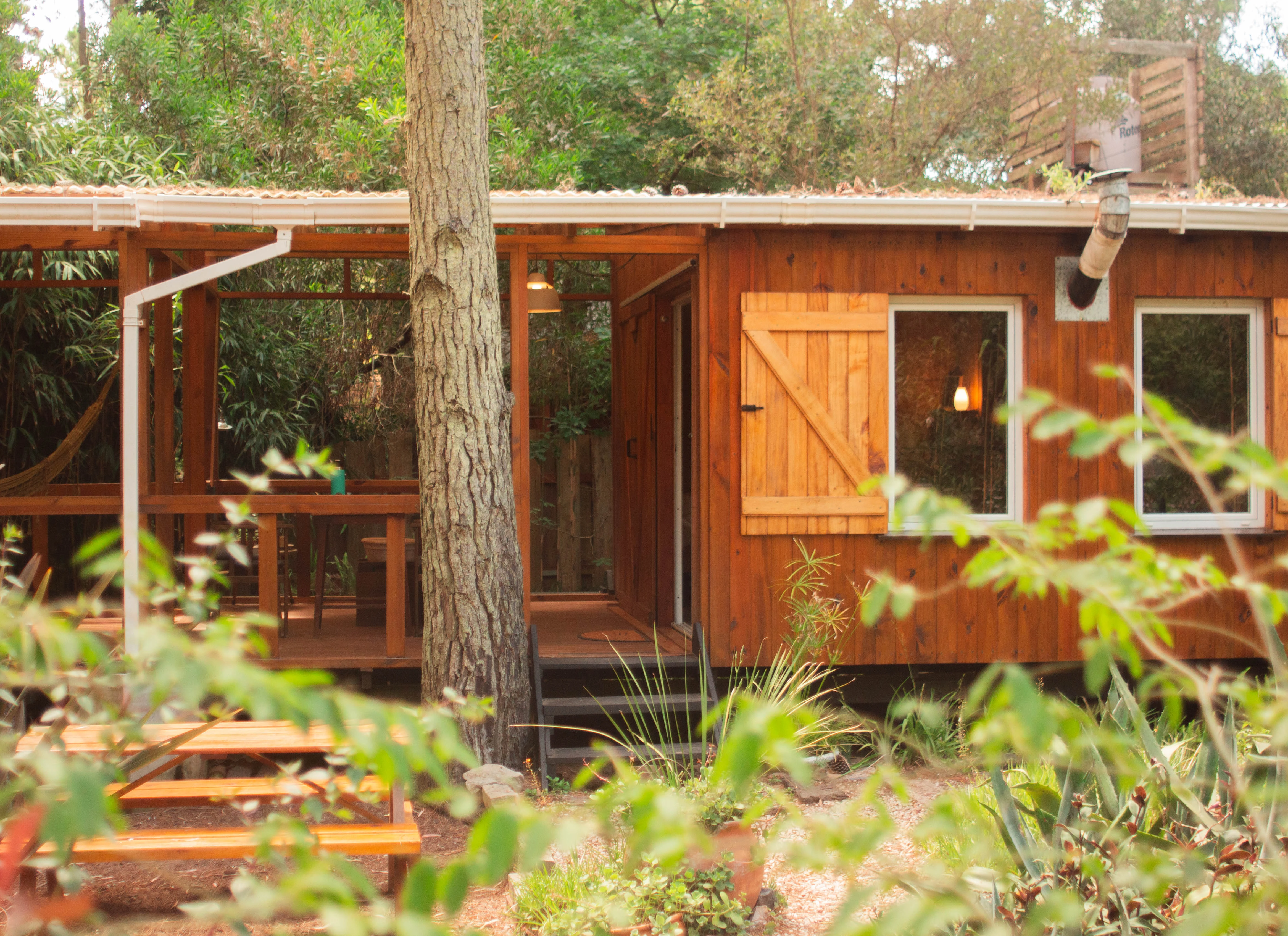 Casa Junco - Deck exterior y bosque de Mar de las Pampas al atardecer