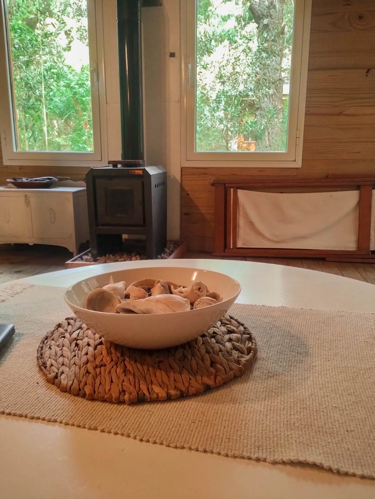 Living interior con estufa a leña y ventanales al bosque