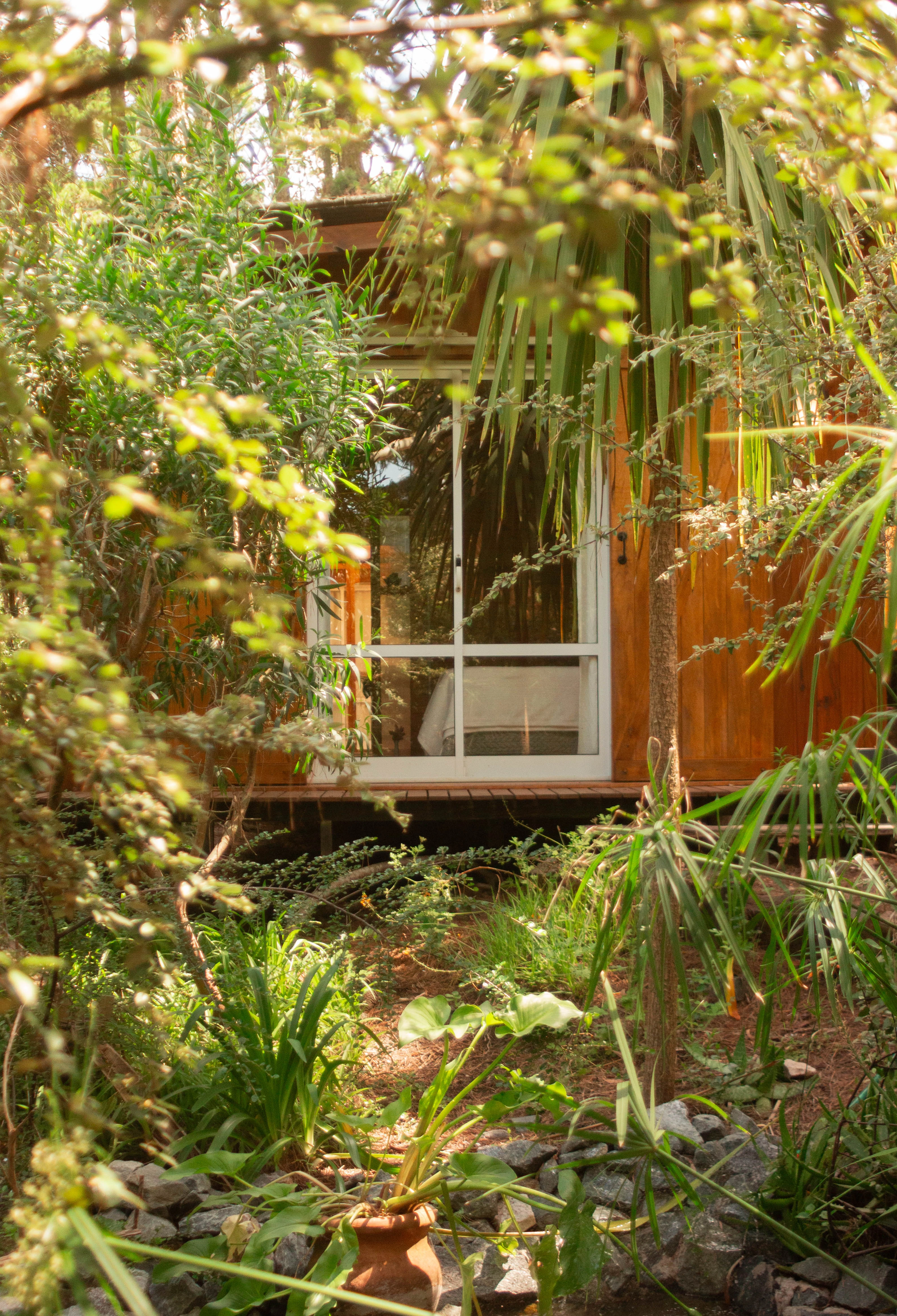 Vista del dormitorio entre el follaje del jardín